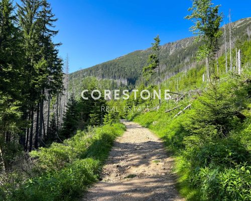 Corestone_prodej_Na_Soutoku-8