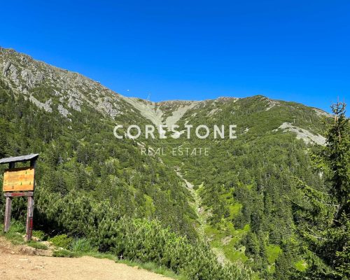 Corestone_projekt_Rusalka-12