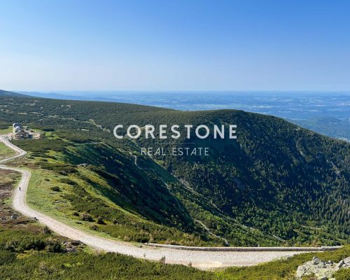 Corestone_projekt_Rusalka-13