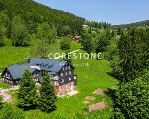 Corestone_projekt_Rusalka-6
