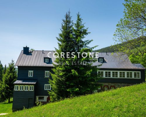Corestone_projekt_Rusalka-4