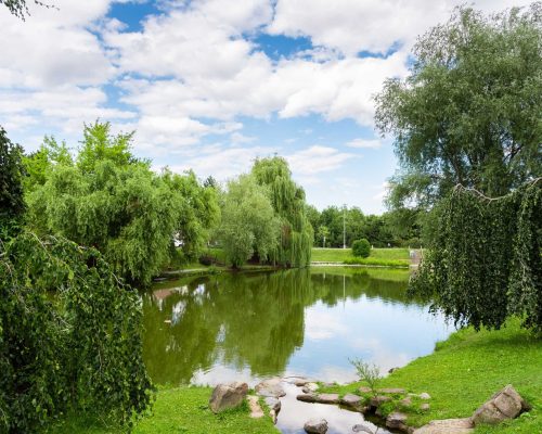 Corestone_prodej_Ledecska-17