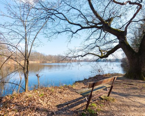 Corestone_prodej_Douchova-1kk-14