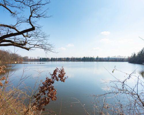 Corestone_prodej_Linie-Uhrineves-4kk-18